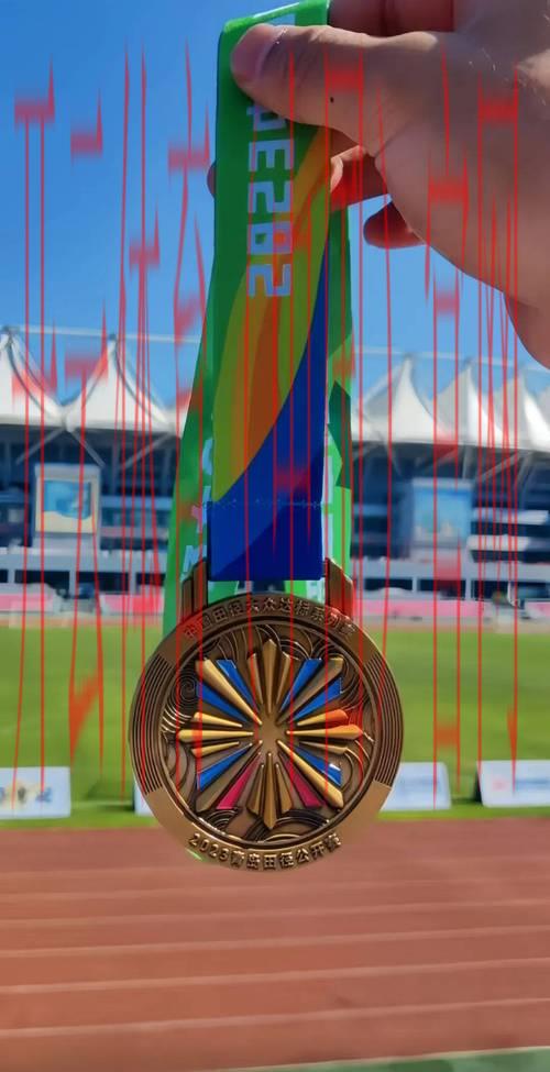 体育项目中的皇冠, 体育项目中的皇冠：成就与挑战并存的巅峰象征解析